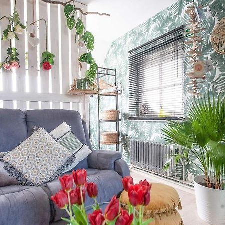 Zalig Cosy Appartement 2-4 Pers.Fietsen & Tuin De Haan Dış mekan fotoğraf