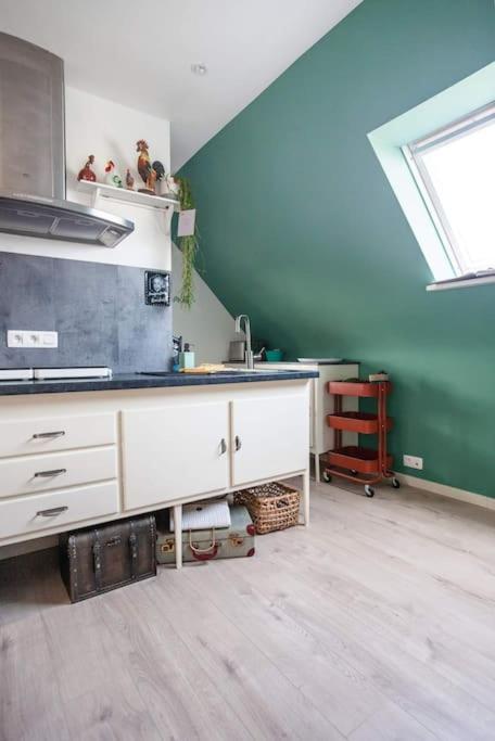 Zalig Cosy Appartement 2-4 Pers.Fietsen & Tuin De Haan Dış mekan fotoğraf