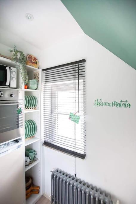 Zalig Cosy Appartement 2-4 Pers.Fietsen & Tuin De Haan Dış mekan fotoğraf